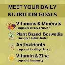 MULTIVITAMINS FOR OVERALL HEALTH.webp